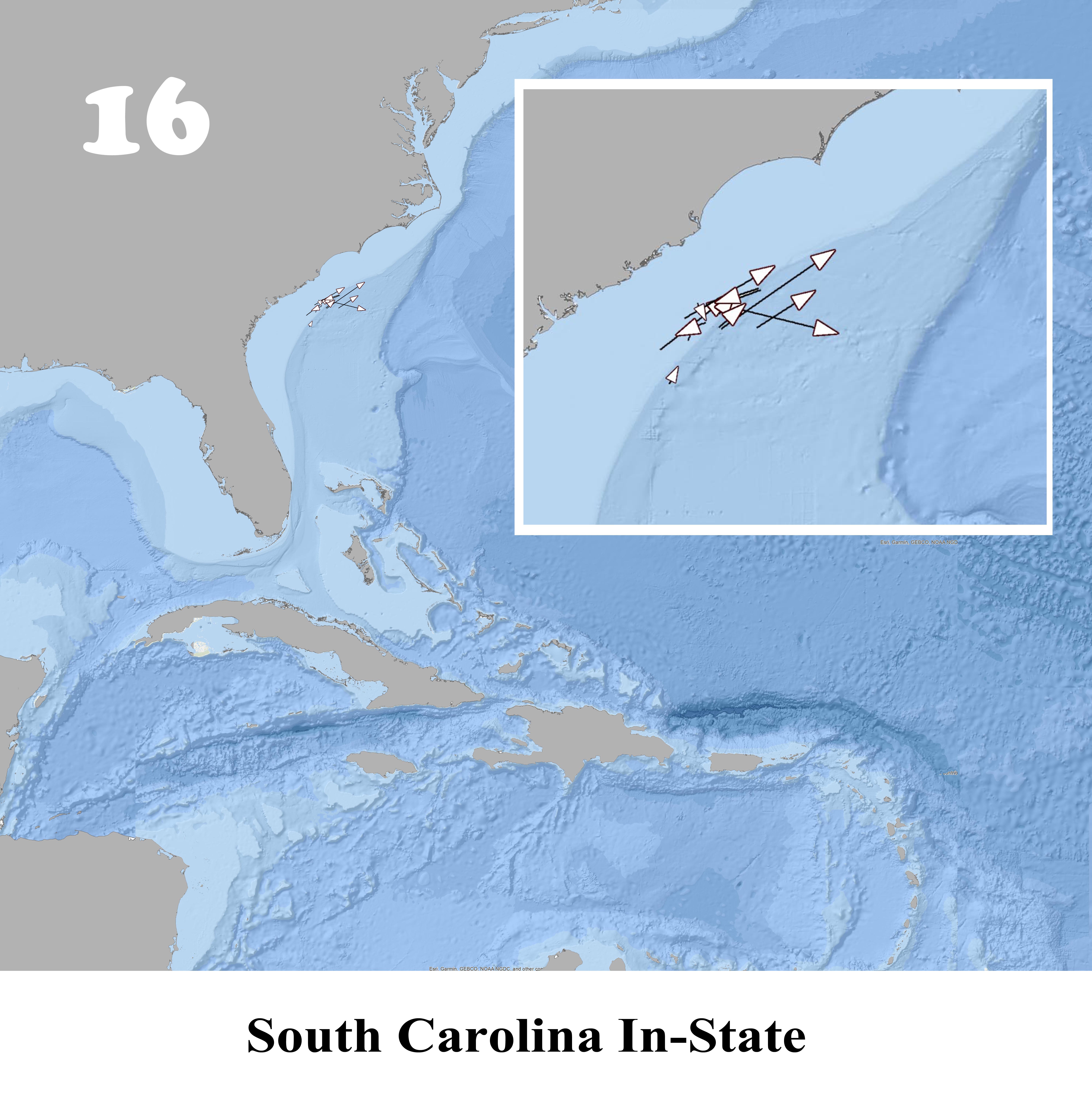 Instate Position sc_instate_v2 | Dolphinfish Research Program | Mahi-Mahi | Mahi ...